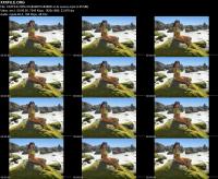 307718044_xxxfile-org-onlyfans-com_ember_snow_-_megapack.jpg
